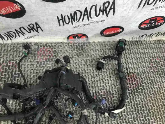 Фото запчасти Проводка двигателя  Honda Civic