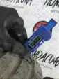 Превью Шины  Honda Civic