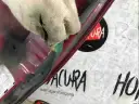 Превью Капот  Honda Civic