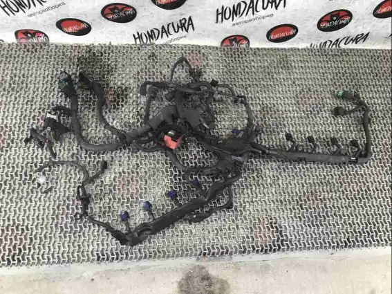 Фото запчасти Проводка двигателя  Honda Civic