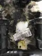 Превью Насос топливный 17708-T1G-G020 Honda CR-V