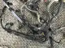 Превью Проводка двигателя  Honda CR-V