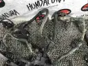 Превью Проводка двигателя  Honda CR-V