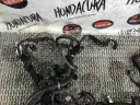 Превью Проводка двигателя  Honda Civic