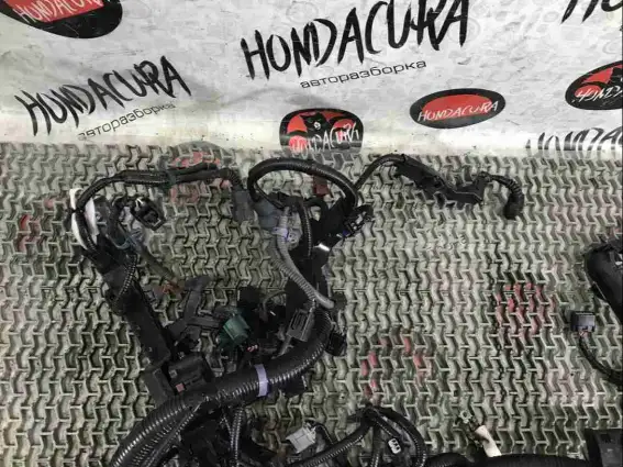Фото запчасти Проводка двигателя  Honda Civic