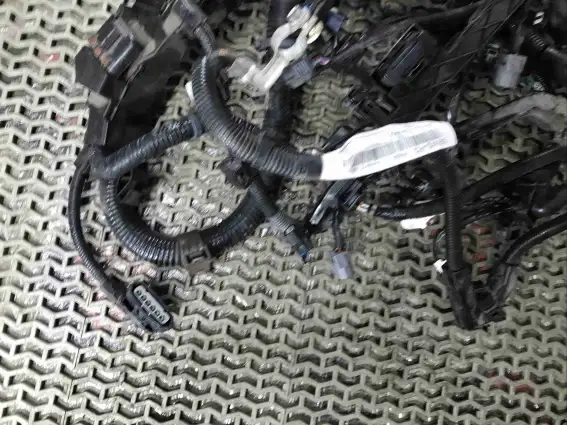 Фото запчасти Проводка двигателя  Honda Civic