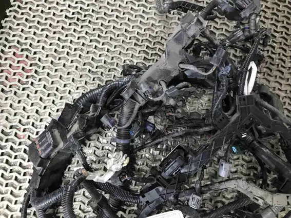 Фото запчасти Проводка двигателя  Honda Civic