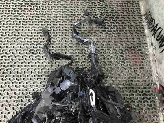 Фото запчасти Проводка двигателя  Honda Civic