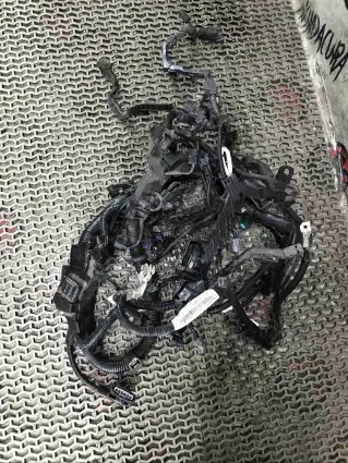 Фото запчасти Проводка двигателя  Honda Civic