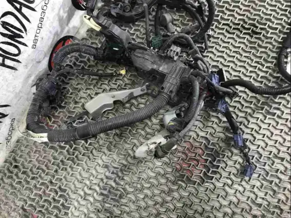 Фото запчасти Проводка двигателя  Honda Civic