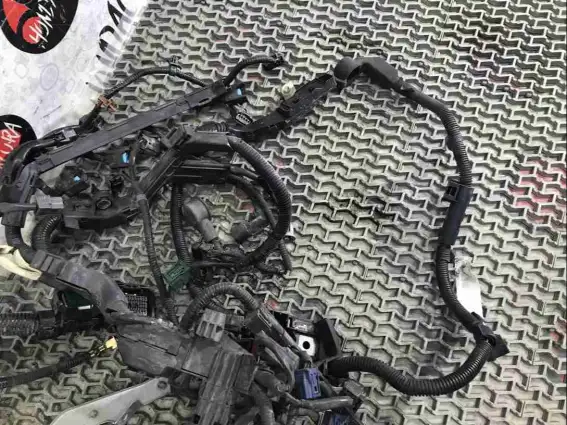 Фото запчасти Проводка двигателя  Honda Civic