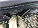 Превью Дверь передняя правая  Honda Civic