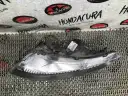 Превью Фара левая  Honda Civic
