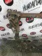 Превью Балка подвески передняя (подрамник)  Honda Civic